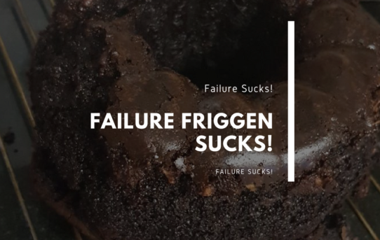 Nobody Friggen Likes Failure