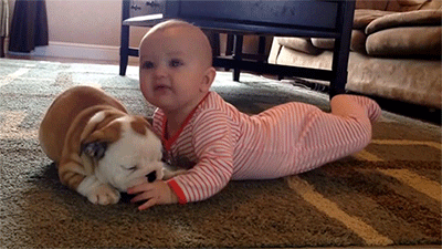 Baby fur-parent with bulldog