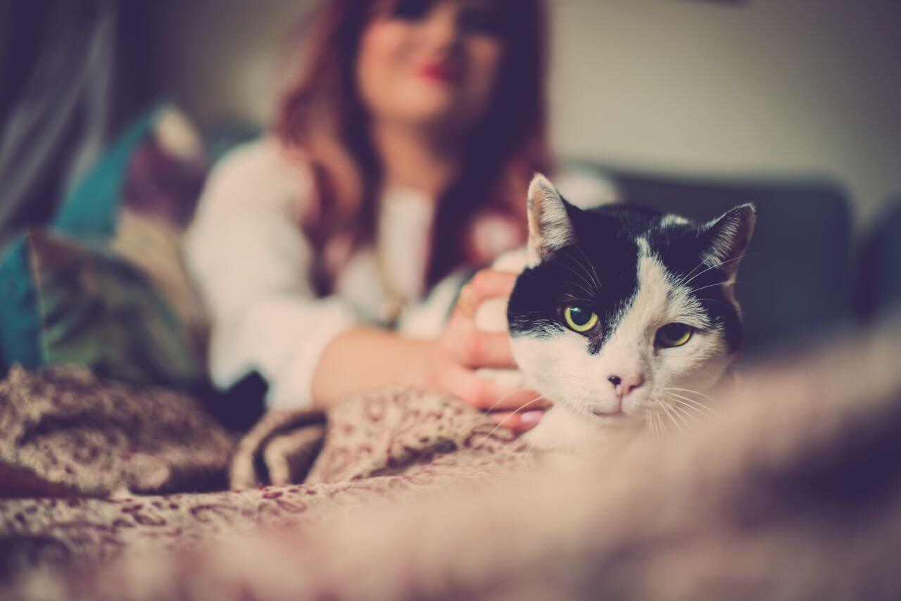 Looking After Your Senior Pets: 14 Points For You to Consider