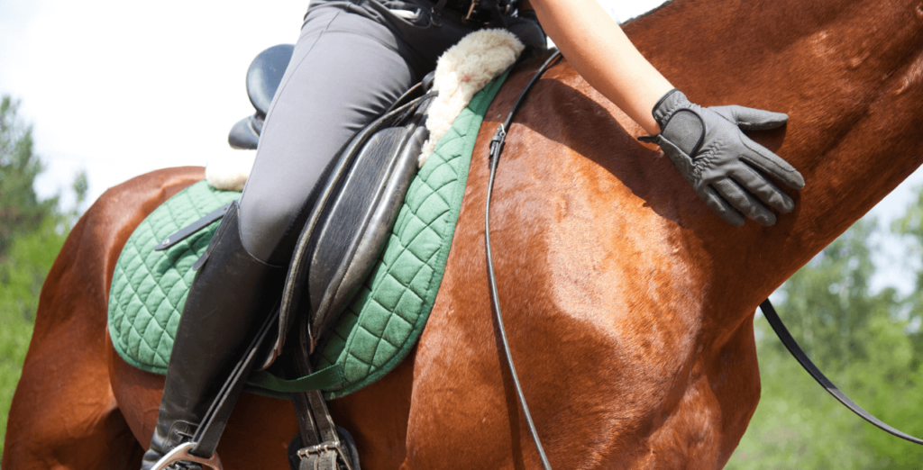 Mental Health and Horse Riding 1: something to look forward to