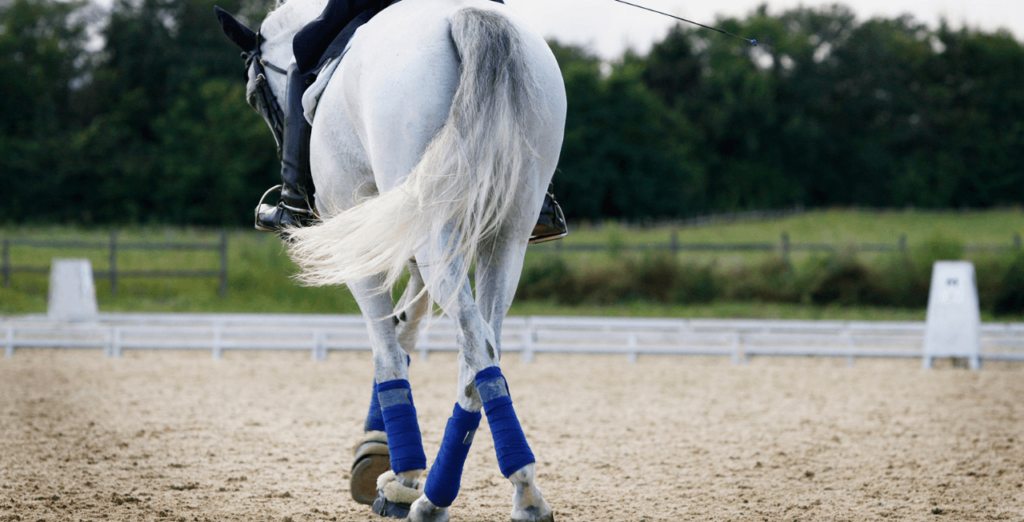 Mental Health and Horse Riding: growth