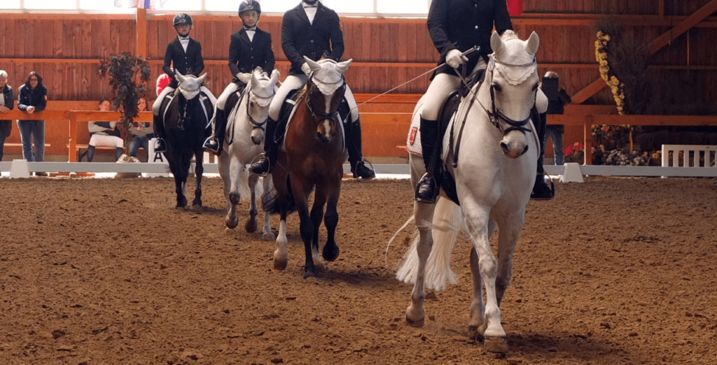 Mental Health and Horse Riding: making connections