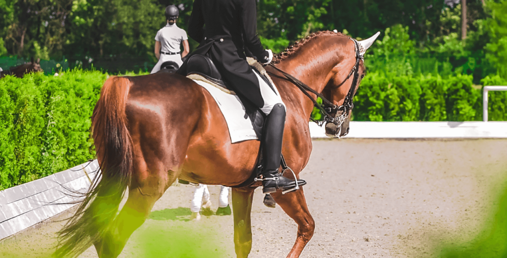 Mental Health and Horse Riding and exercising 