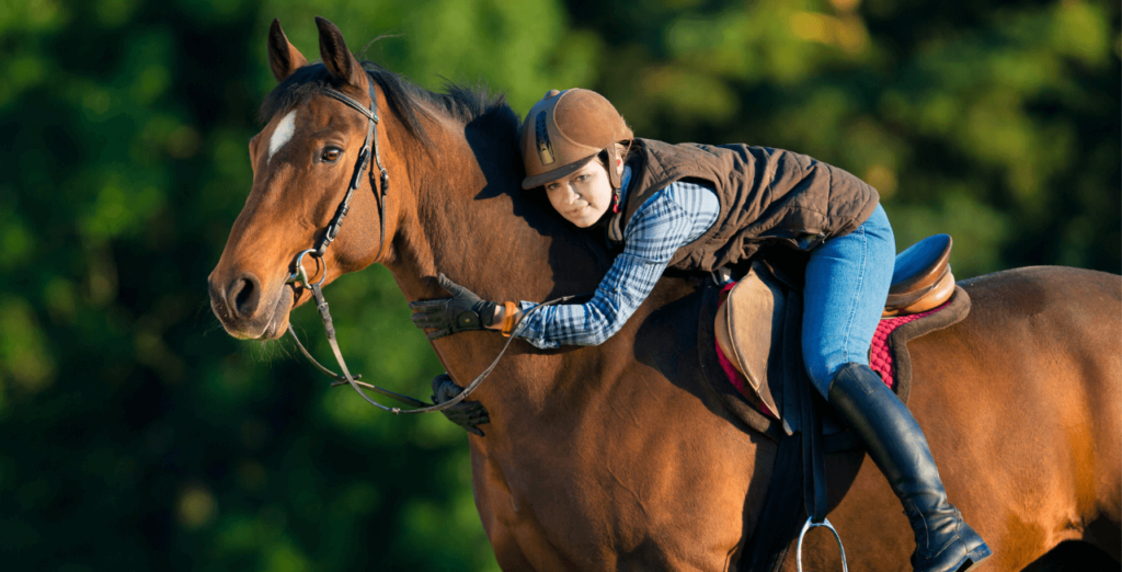 Mental Health and Horse Riding: mental stimulation 